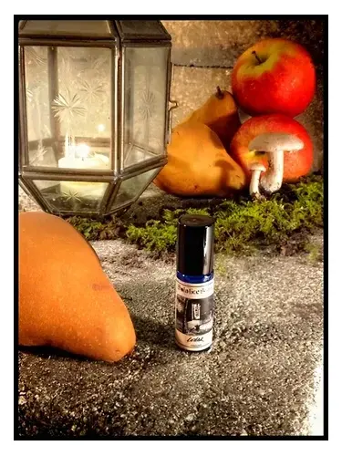 Cellar by Solstice Scents bottle