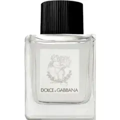 Dolce & Gabbana Eau sans Alcool by Dolce Gabbana bottle