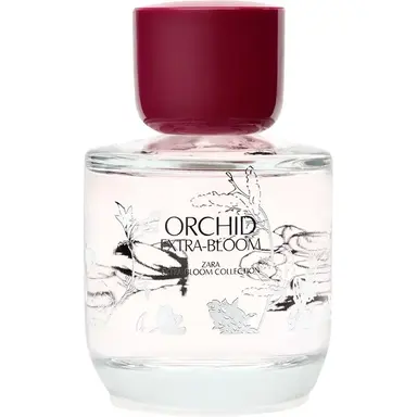 Orchid Extra-Bloom by Zara bottle