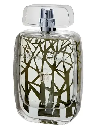 Secret Style For Men by Louis Varel