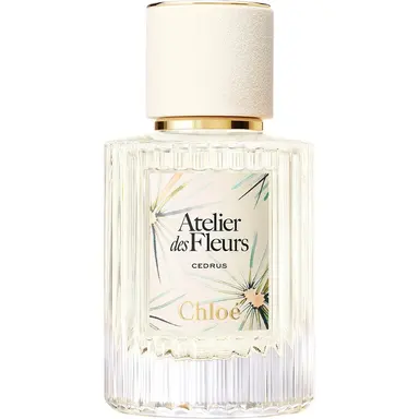 Cedrus Limited Edition by Chloe