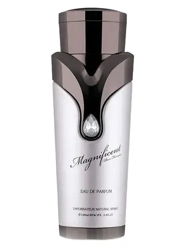 Magnificent Pour Homme by Armaf bottle