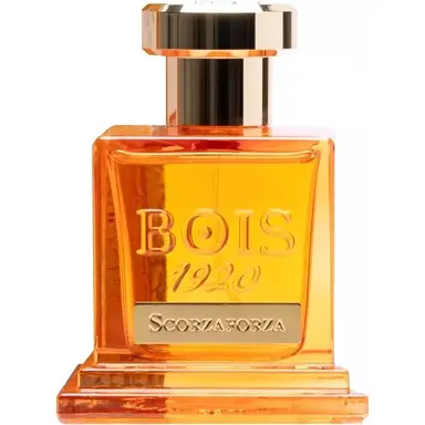 Scorzaforza by Bois 1920
