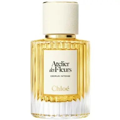Cedrus Intense by Chloe