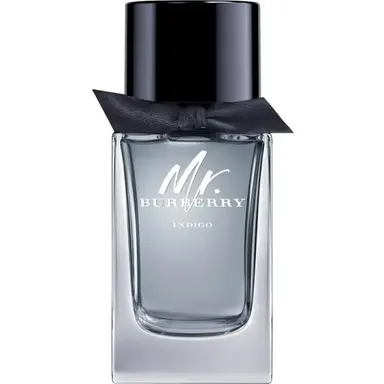Mr. Burberry Indigo by Burberry