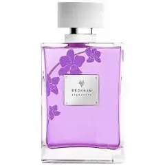 Signature Women by David Beckham