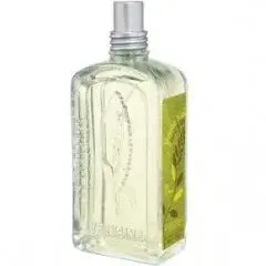 Verveine Soleil by L'Occitane en Provence bottle