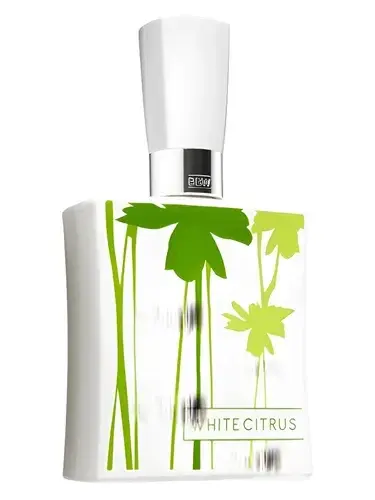 White Citrus by Bath & Body Works bottle