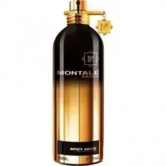 Spicy Aoud by Montale bottle