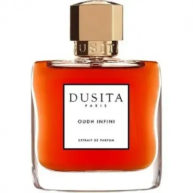 Oudh Infini by Parfums Dusita