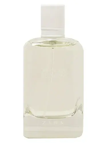 Delicious Blossom 2017 by Zara bottle