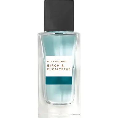 Birch & Eucalyptus by Bath & Body Works bottle