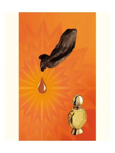 Shatha Al Oudh by Rasasi bottle