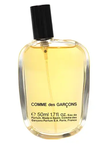 Comme des Garcons by Comme des Garcons bottle