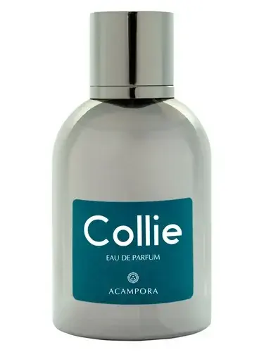 Collie Eau de Parfum by Bruno Acampora bottle
