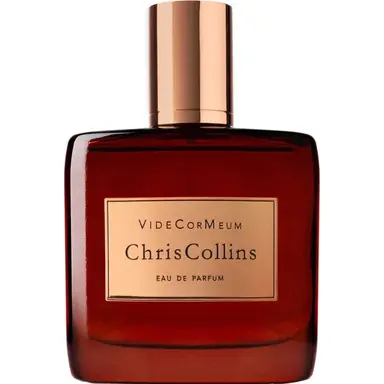 VideCorMeum by Chris Collins