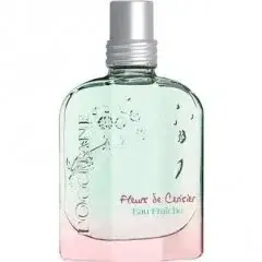 Fleurs de Cerisier Eau Fraîche by L'Occitane en Provence bottle