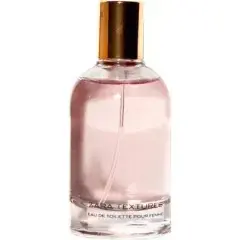 Textures Pink by Zara bottle