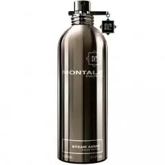 Steam Aoud by Montale bottle