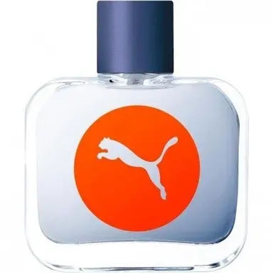 Sync Man by Puma bottle