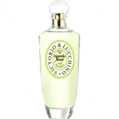 Capricho Floral - Idilio de Magnolia by Victorio Lucchino bottle