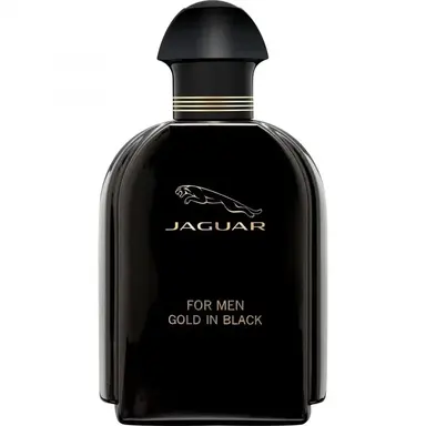 Jaguar For Men Gold in Black by Jaguar bottle