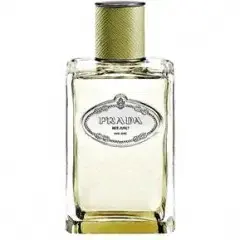 Infusion de Vetiver by Prada bottle