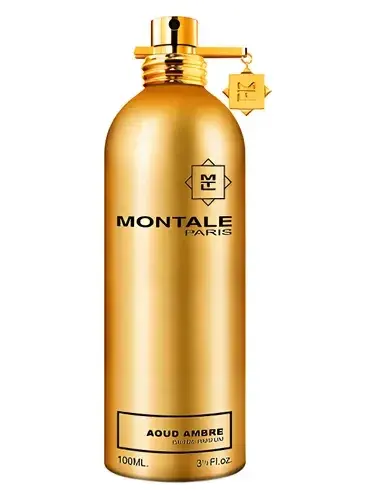 Aoud Ambre by Montale bottle