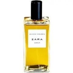 Ambar by Zara bottle