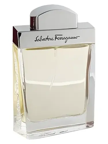 Salvatore Ferragamo pour Homme by Salvatore Ferragamo bottle