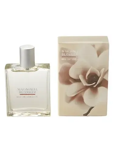 Magnolia Blossom by Bath & Body Works bottle