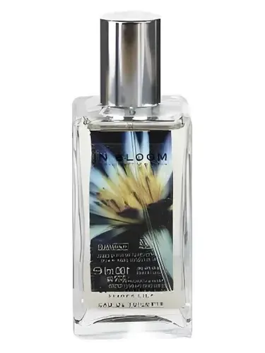 Lotus Flower and Ginger Lily by Marks & Spencer bottle