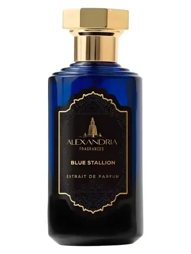 Blue Stallion by Alexandria Fragrances bottle