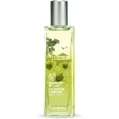 Amazonian Wild Lily by The Body Shop bottle