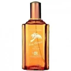 Sexy Coconut by Jeanne Arthes bottle