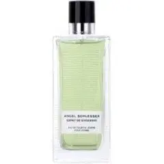 Esprit de Gingembre Pour Homme by Angel Schlesser bottle
