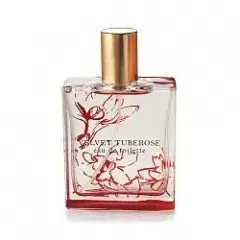 Velvet Tuberose by Bath & Body Works bottle