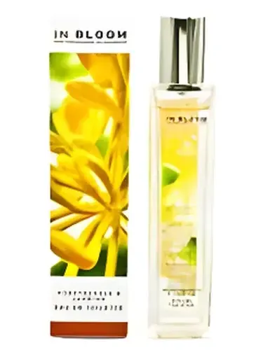 Jasmine and Honeysuckle by Marks & Spencer bottle