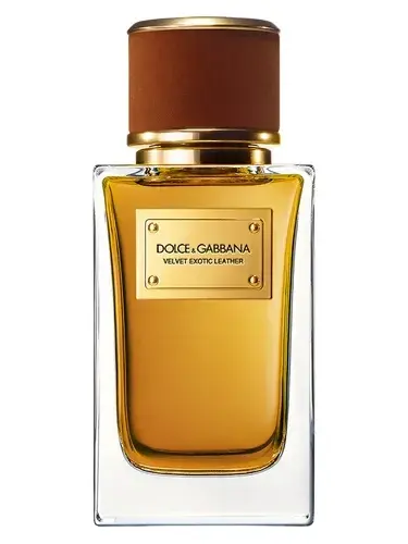 Velvet Exotic Leather by Dolce Gabbana bottle