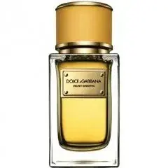 Velvet Ginestra by Dolce Gabbana bottle