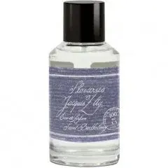 Flowersea by Jacques Zolty bottle