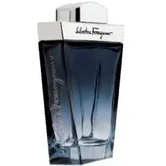Subtil Pour Homme by Salvatore Ferragamo bottle