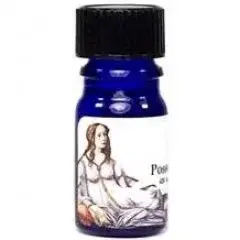 Night Flight by Possets Perfume bottle