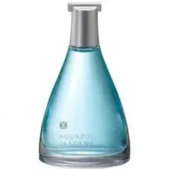Aguazul de Loewe by Loewe bottle