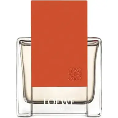 Solo Ella by Loewe bottle