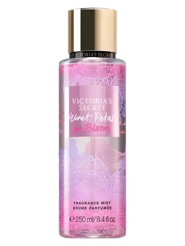 Velvet Petals in Bloom by Victoria's Secret bottle