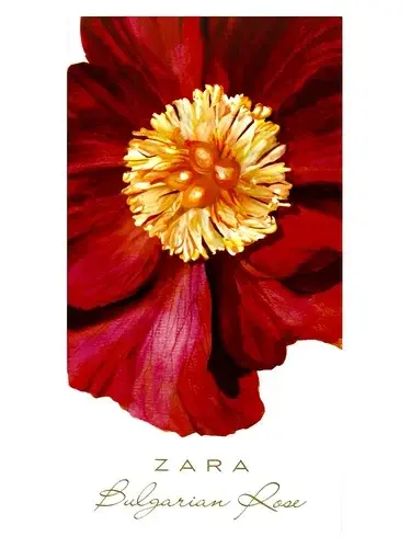 Bulgarian Rose by Zara bottle