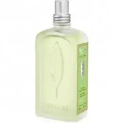 Verveine Menthe by L'Occitane en Provence bottle