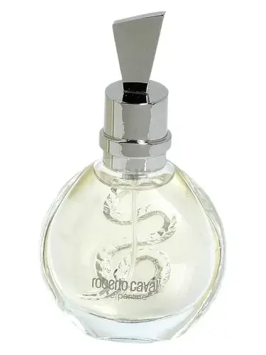 Serpentine Silver by Roberto Cavalli bottle