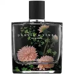 Dahlia & Vines by Nest bottle